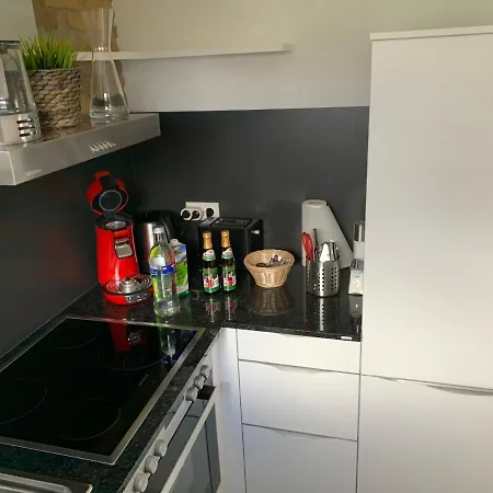 Haus Ellenberg By Kuckucksnester דירה Friedenweiler